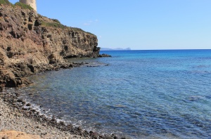 turri