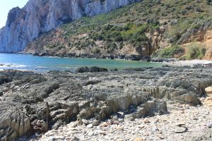 porto flavia