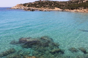 cala cipolla