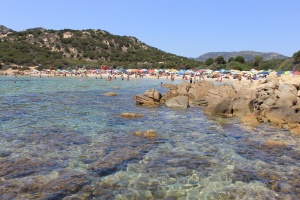cala cipolla
