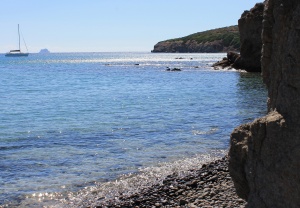 turri