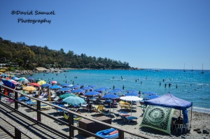 porto frailis