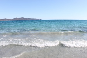 porto pino
