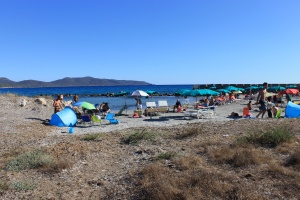 porto pino