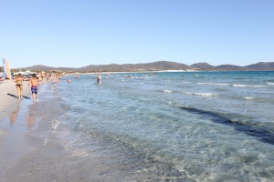 porto pino