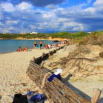 le saline