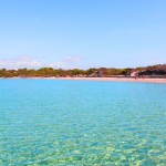 le saline