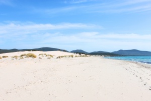 porto pino dune