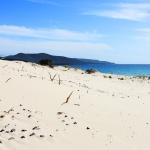 porto pino dune