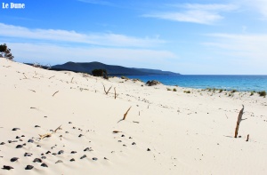 porto pino dune