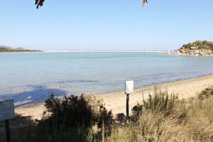 porto giunco
