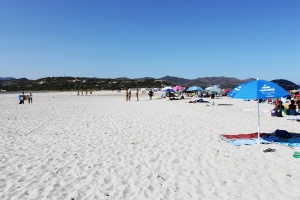porto giunco