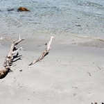 spiaggia il giunco