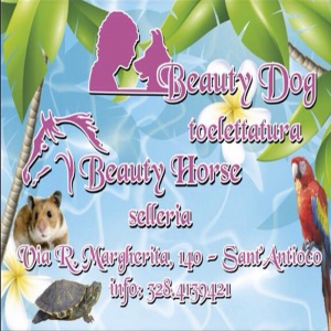 beautydog toelettatura tamara massoni sant antioco
