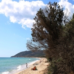 spiaggia perla marina pula