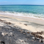 spiaggia perla marina pula