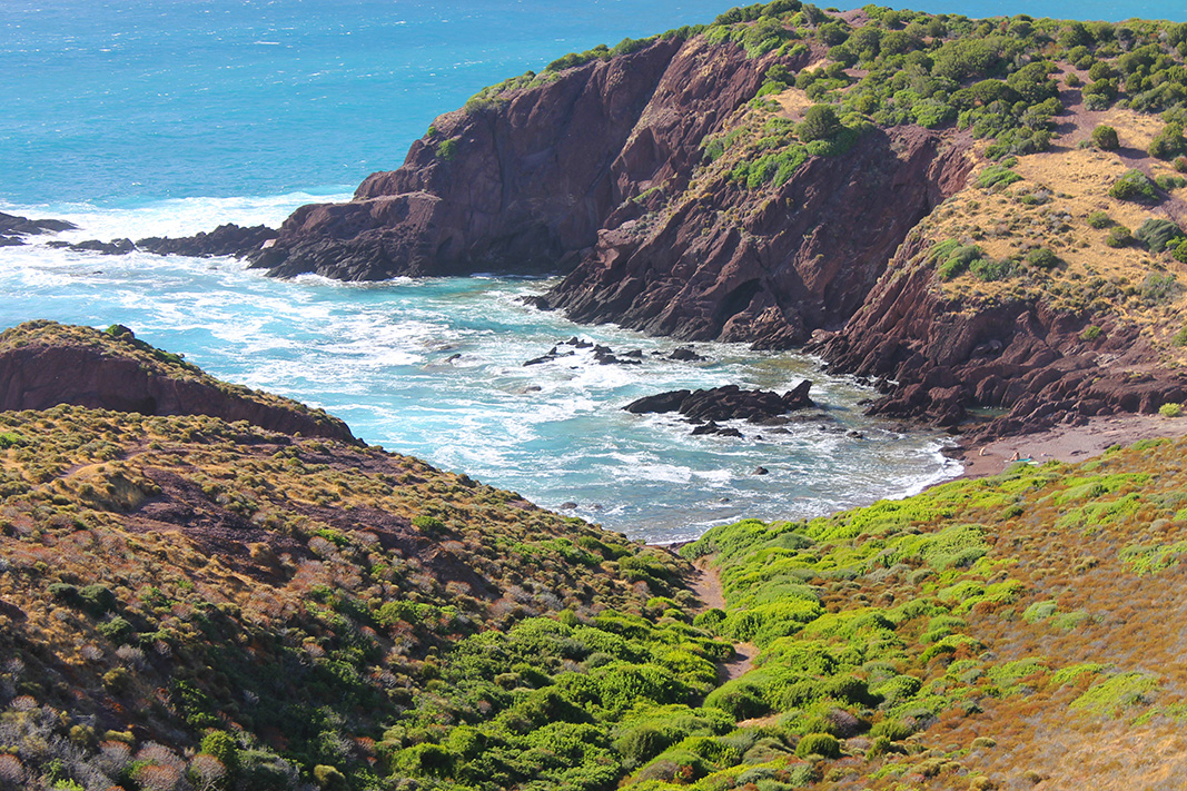 porto corallo