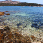 spiaggia di capo malfatano