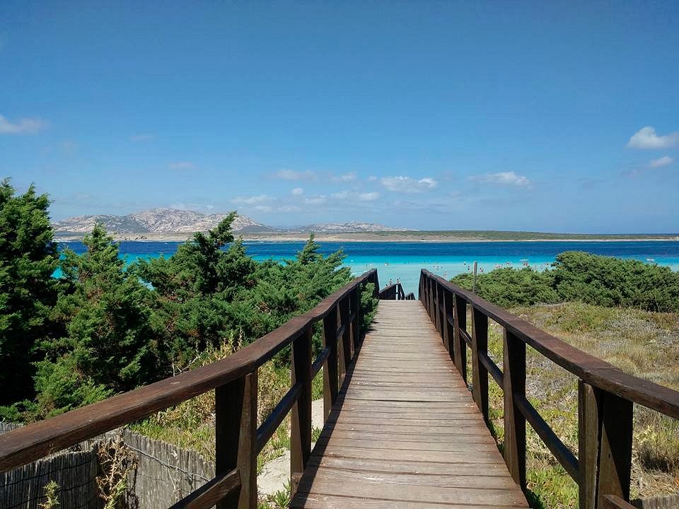 Forbes migliore vacanza in sardegna la pelosa